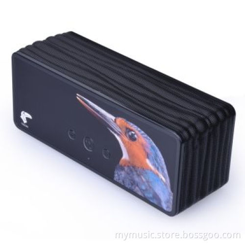Subwoofer Bluetooth Speaker, Handsfree, with 2,600mAh Battery and 45mm Dual-driver